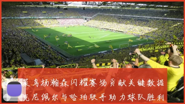 菜鸟杨瀚森闪耀赛场贡献关键数据克尼佩尔与哈珀联手助力球队胜利
